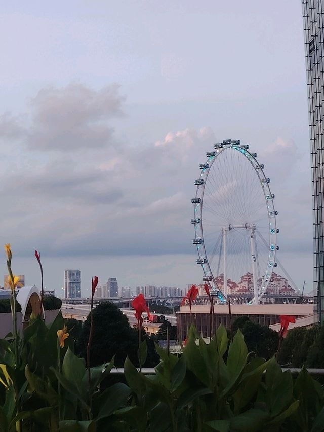 Stunning Night Views at Marina Bay Sands & Gardens by the Bay!