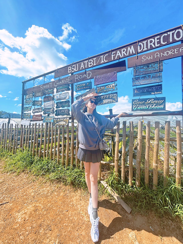 Baguio Escape 🍓✨