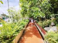 Park Garden in temple 