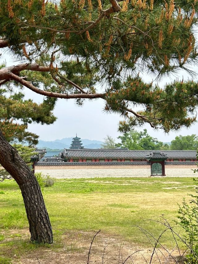 The Crown Jewel of Joseon: Gyeongbokgung