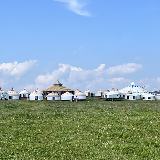 Grasslands, Gers, and Blue Skies: Summer Freedom in Hohhot