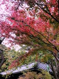 【東京　中野　哲学堂公園 】