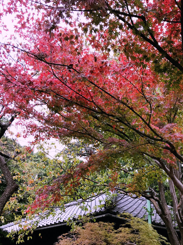 【東京　中野　哲学堂公園 】