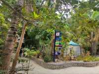 Where Boracay Shops, Eats, and Gets Lost (in a Good Way)
