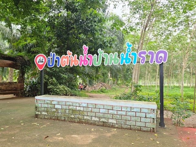 ป่าต้นน้ำบ้านน้ำราด