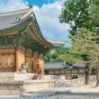 Deoksugung Palace: Where Joseon Meets Modern Seoul – A Solo Traveler’s Timeless Escape"** 🏯🌆