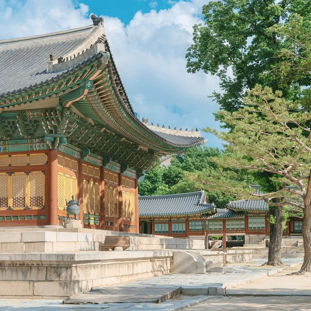 Deoksugung Palace: Where Joseon Meets Modern Seoul – A Solo Traveler’s Timeless Escape"** 🏯🌆