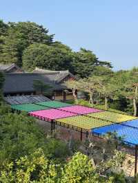 여름 경주 여행코스🌿
