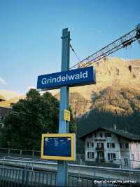 GRINDELWALD?😍