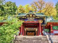 Tōshōgū Shrine in Nikkō: A Golden Masterpiece of Samurai Power & Divine Art