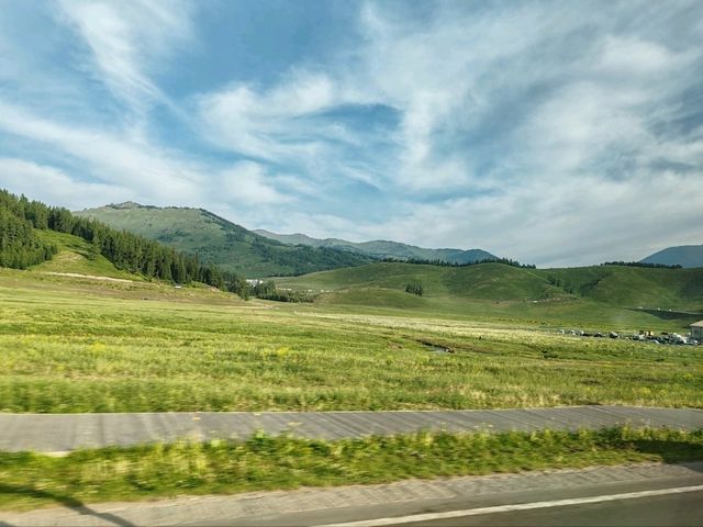 The Birch Forest Resort Hotel: A Tranquil Haven in the Mountains