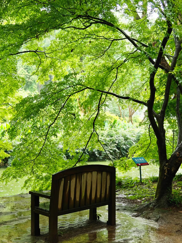 Wuhan Botanical Garden 🌿🌸🦋