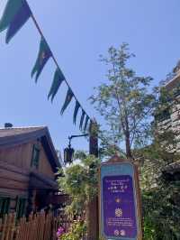 เครื่องเล่นและโชว์ที่ห้ามพลาดเลยในฮ่องกงดิสนี่ย์