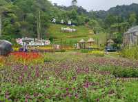 ชมสวนดอกไม้ที่เบตง