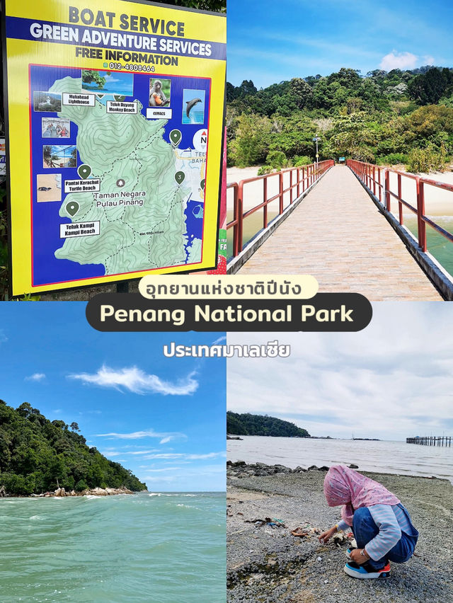 Penang National Park