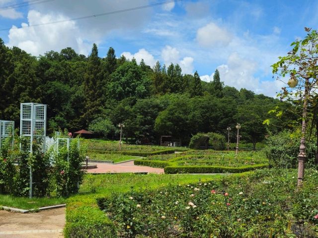 인천대공원 이쁜곳