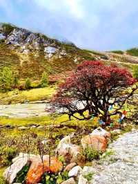 Nature Overload at Bipenggou National Park
