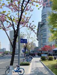 Ningbo City walk 🇨🇳