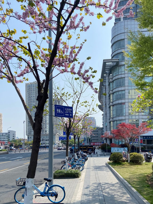 Ningbo City walk 🇨🇳