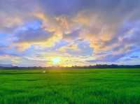 Tranquil Beauty
