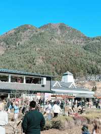富士山河口湖