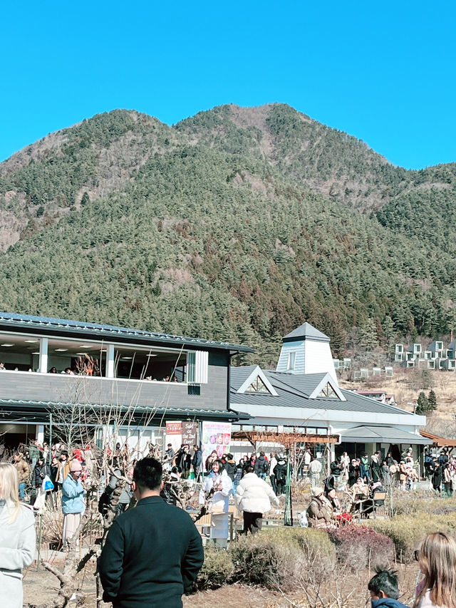 富士山河口湖