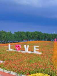 🌸Spring-Only Wonderland! Suzhou Shangfang Mountain National Forest Park Travel Guide