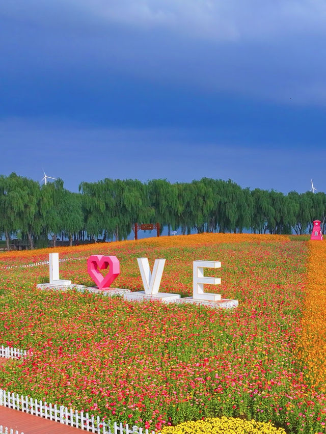 🌸Spring-Only Wonderland! Suzhou Shangfang Mountain National Forest Park Travel Guide