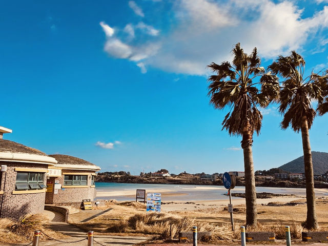 A Photographer's Canvas of Dynamic Coastal Action