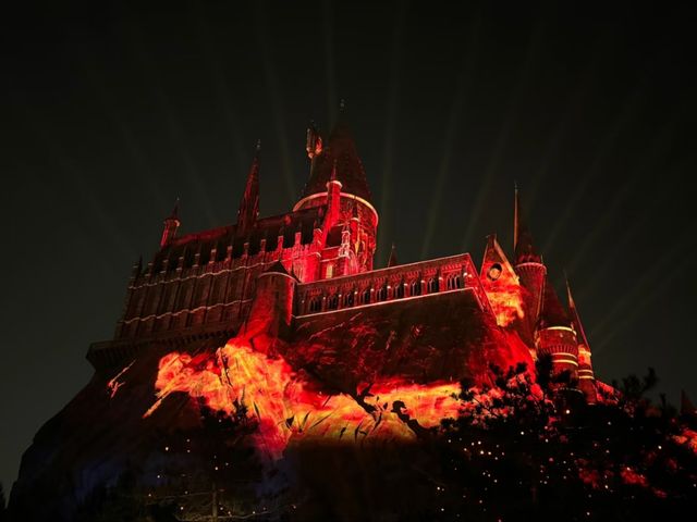 Wands Ready! How Kids Fall in Love with Harry Potter World