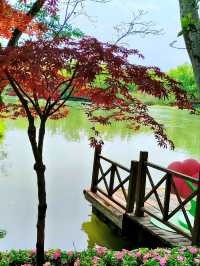 Xixi Wetland: Where Watertown Charm Meets Untamed Nature – A Living Canvas of Jiangnan
