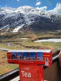 Bernina Express