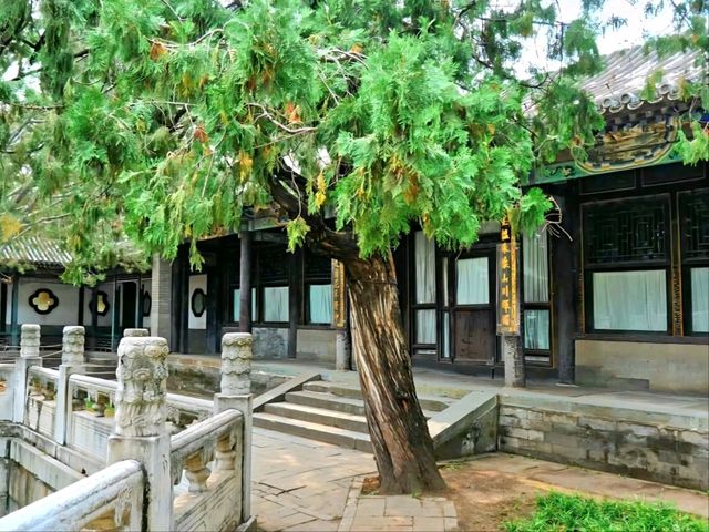 The Quiet Charm of Qinghua Studio, Summer Palace