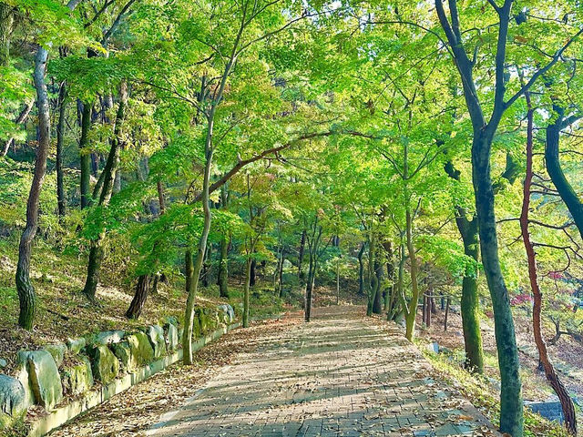 강화도 단풍 명소로 유명한 등반코스