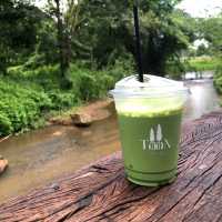 คาเฟ่สุดชิค มัทฉะดีมาก