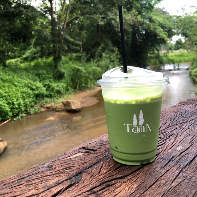 คาเฟ่สุดชิค มัทฉะดีมาก