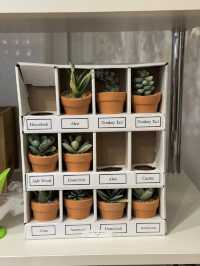 청주 감성 소품샵 여행코스 🌿