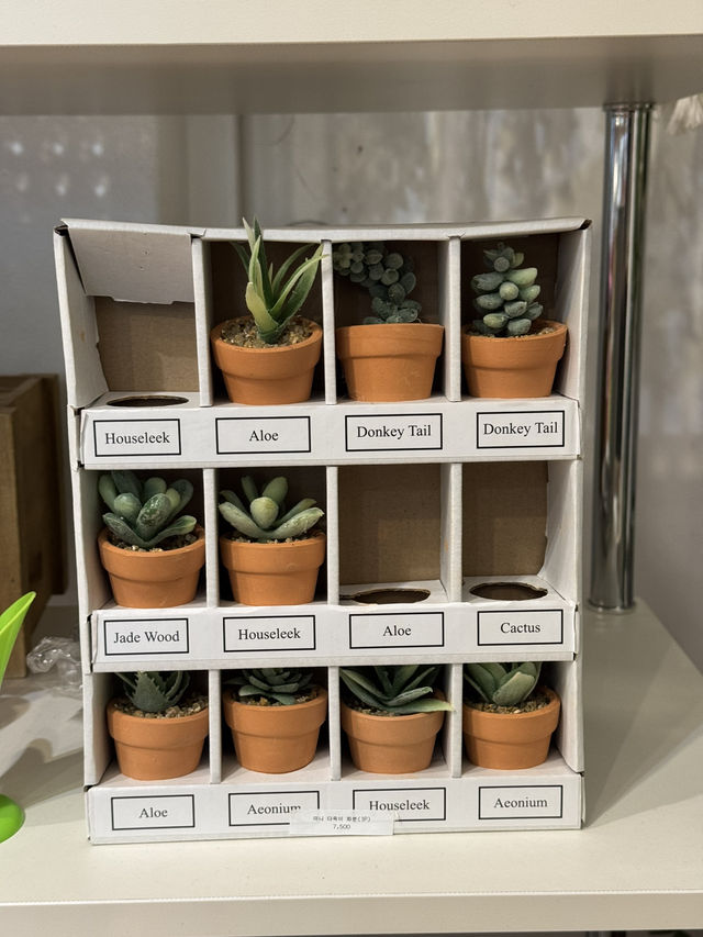 청주 감성 소품샵 여행코스 🌿
