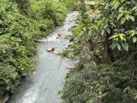 5 Days in Kota Kinabalu- amazing tour from mountain to sea.