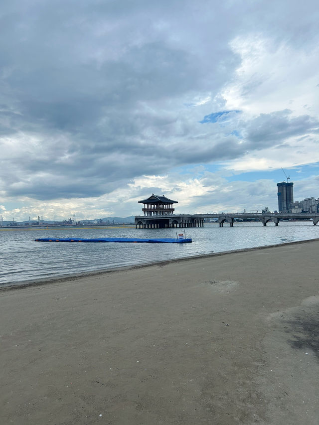 바다와 바람, 그리고 여름의 한 페이지 🌊🌴
