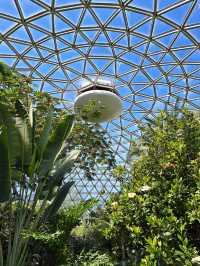 🌿 Tropical Wonder in the City – Bloedel Conservatory at Queen Elizabeth Park