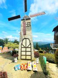 Sirao Flower Farm – A Colorful Escape in Cebu