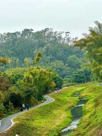 🍃Hidden Adventure at Maofeng Mountain｜Creek Walk + Cloud-Top Lookout