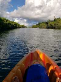 Nature Breezes at Laguna Nichupté