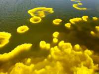 Danakil Depression – “Earth’s Hottest, Strangest Landscape” 