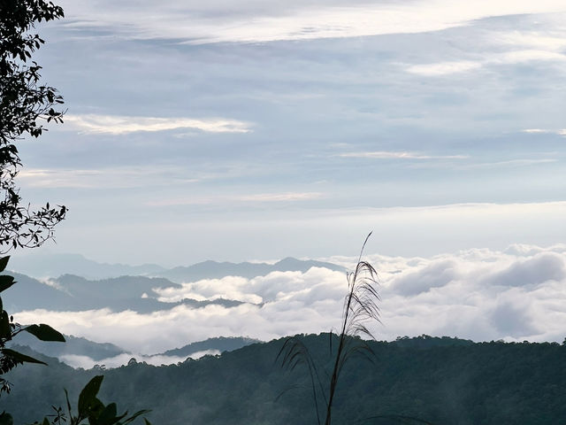 อุทยานแห่งชาติดอยขุนตาล อุทยานแห่งชาติดอยขุนตาล