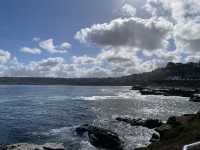聖地牙哥 La Jolla 拉荷亞海灣 與海獅海豹一起賞日出