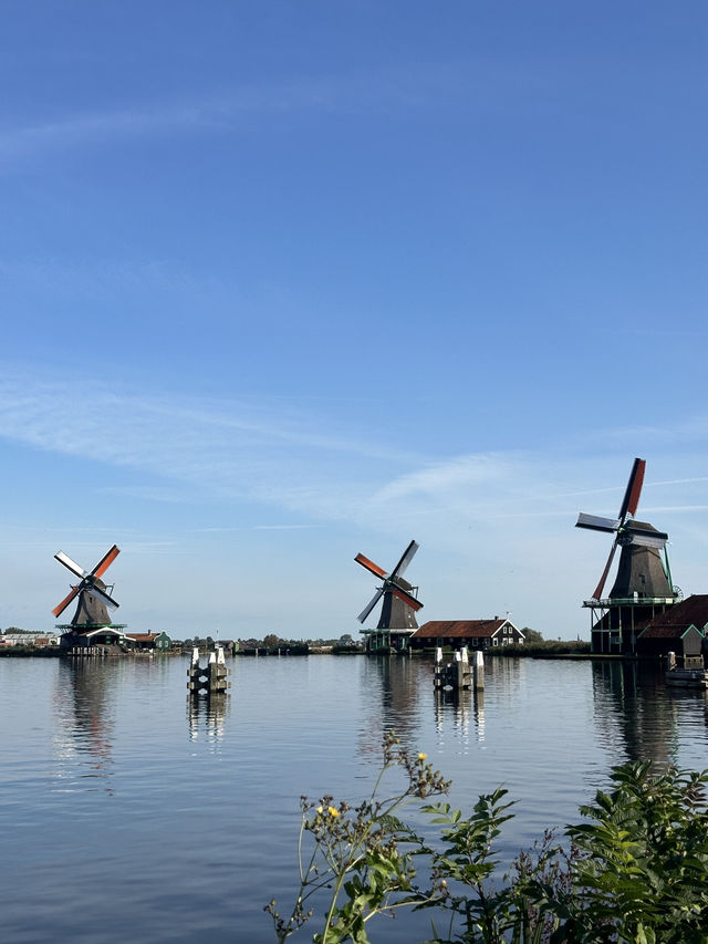🇳🇱When in Holland… Become the Clog