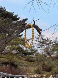 ๐๏ธ ํ๊ตญ ์ ํต๋ฏธ์ ์ ์ โจ ํธ์๋ฏธ์ ๊ด & ํฌ์ ๐ธ