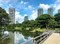 Tranquility at Hamarikyu Gardens
